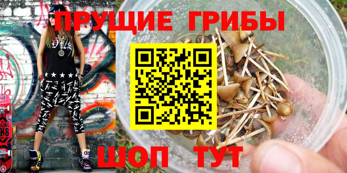 Пыть-Ях  Псилоцибиновые грибы мицелий  Вход с VPN  Галлюциногенные грибы Magic Shrooms 