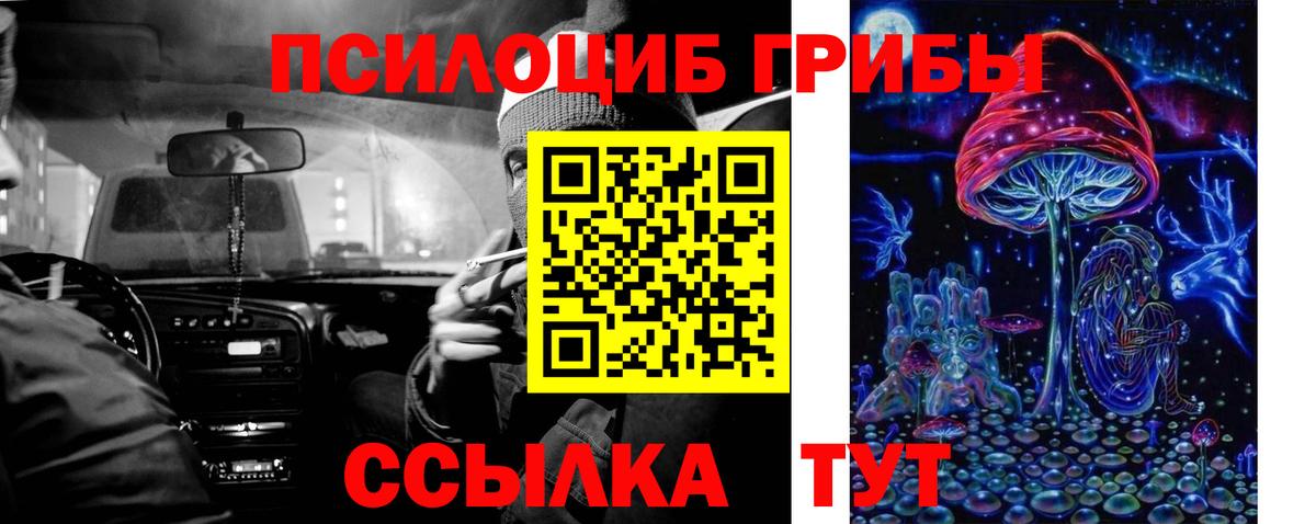 Псилоцибиновые грибы Cubensis Пыть-Ях